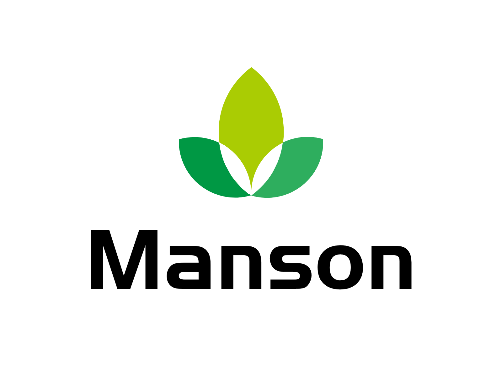 Guangzhou Manson Printing And Packaging Co., Ltd. logo