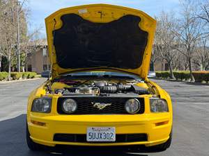 Ford Mustang GT Coupé 2006 d'occasion en bon état, sans réserve, 1 propriétaire jusqu'en 2025, boîte manuelle 5 vitesses, V8 4,6 litres, provenance Californie - Product Image 6