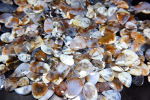 Venta al por mayor Natural dendrítico musgo ágata cabujón de piedras preciosas sueltas para la fabricación de joyas Natural suave ágata dendrítica - Product Image 2