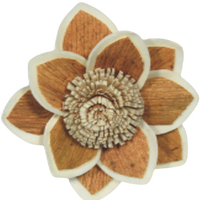 Sola Wood Flower diffuseur de roseau Parfum d'ambiance Fait à la main Sola Flower Echo Friendly Sola Flower Natural to aérer Freshen Reed