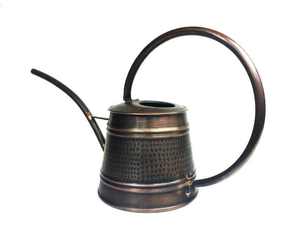 Garden Metal Watering Can Long Spout Smooth Water Control Strong Handle Durable Body 8L Capacity Powder Coated Finish for - Product Image 4