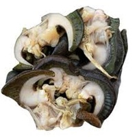 Viande d'escargot congelée, viande d'escargots d'Afrique séchée