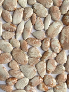 Piedra Preciosa Natural de Scolecita Rosa de Alta Calidad, Cabujón de Forma Mixta, ARHAN GEMS Modelo AR-147 2-10g para la Fabricación de Joyas - Product Image 2