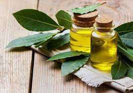 Vente en gros d'huile essentielle de laurier certifiée ISO huile essentielle de baie de laurier biologique de haute qualité d'huile de feuille de laurier d'Inde - Product Image 2