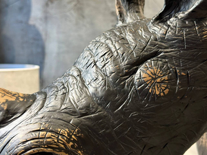 Mesa de Centro Rhino Negra Hecha a Mano en Madera Sólida, Mesa de Café Escultural de Lujo para Interiores Premium - Product Image 4