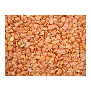 Lentejas frescas orgánicas de alta calidad, gran cantidad suministrada para mercados de exportación internacionales - Product Image 1