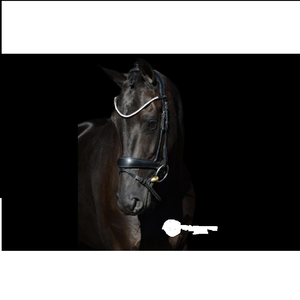 Caballo Snaffle Cuero Brida Fabricante Anatómico Doma Snaffle Cuero indio Cuero genuino Caballo Brida Fabricante - Product Image 3