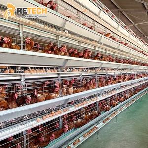 Sistema di Gabbie Automatiche Impilabili per Galline Ovaiole e Gabbie Integrate a Catena (Alimentazione e Raccolta Uova) - Product Image 2