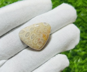 ปะการังฟอสซิลฟอสซิลธรรมชาติทำด้วยมืออัญมณีหลวมขนาดตามสั่งสำหรับทำเครื่องประดับหินคริสตัลบำบัดขายส่ง - Product Image 2