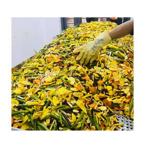 Fritas de frutas secas crujientes de verduras secas en Vietnam Proveedor-Fruta mixta seca con alta calidad y el mejor precio de 99 GD - Product Image 6