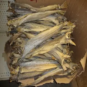 Треска и сушеные рыбы в наличии/норвежская Сушеная Рыба на продажу