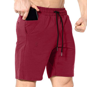 Marque privée Service OEM Tarif de gros Logo personnalisé Conception hommes Shorts Nouvelle arrivée short en maille pour adulte - Product Image 1