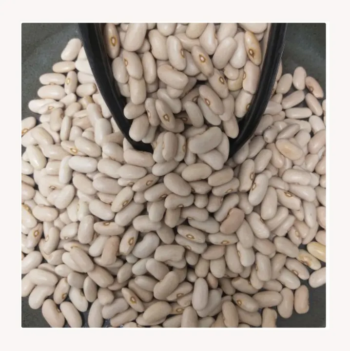 大型大型白インゲン豆輸出用天然卸売トップグレード白インゲン豆