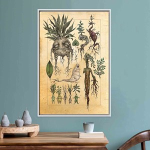 <b>Enchanting</b> Herbology Plant Tempered Glass Print Canvas Artwork,WHITE FRAMED CANVAS - Product Image 1