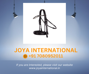 Brida de caballo efímera Weymouth Sheffield Productos Premium para caballos - Product Image 6