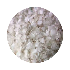 Écailles de poisson du fabricant pour l'exportation, écailles de tilapia/écailles de poisson brutes pour l'extraction de collagène en provenance du Vietnam - Product Image 1