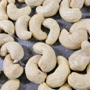 ¡Producto caliente 2025! Anacardos SANTIGO Noix De Cajou WW450 Kaju W450 anacardos Respuesta Rápida - Product Image 1