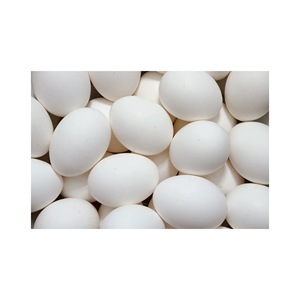 Œufs de poule blancs frais de première qualité pour la nutrition, disponibles au prix de gros auprès d'un exportateur indien - Product Image 5