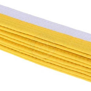 สายพาน BJJ ศิลปะการต่อสู้มีโลโก้ด้านหน้า - Product Image 4