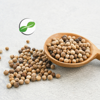 Poivre Blanc Pâle de Qualité Supérieure de l'Île de Sulawesi, Naturel AD MASALA, pour Cuisine et Barbecue, Séché, Brut, Global Agro Komoditi 25kg