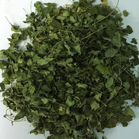 Penjualan terlaris daun Moringa kering/teh daun Moringa/daun Moringa Oleifera untuk ekspor