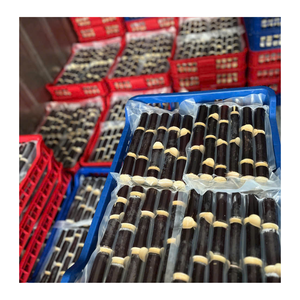 Trozos de caña de azúcar congeladas de Vietnam peladas y listas para exportar caña de azúcar congelada para la industria de servicios de alimentos - Product Image 4