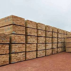 Madera de haya seca al horno de primera calidad para grandes proyectos de carpintería Pisos y muebles - Product Image 2