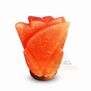 Lampe de table en sel rose de l'Himalaya artisanal, écologique, avec variateur d'intensité et base en bois - Product Image 1