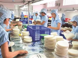 Rollos de Papel de Arroz al por Mayor del Delta del Vientam, Vietnam |   Directo de Fábrica - Product Image 4