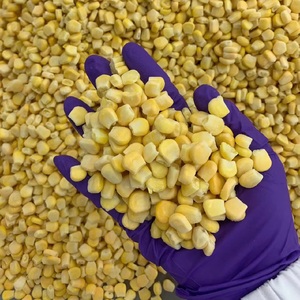 Maíz Dulce Congelado al por Mayor de Vietnam, Granos de Maíz envasados al vacío a granel, Conservados en agua, Proceso de Congelación LQF, Vegetales Frescos - Product Image 4