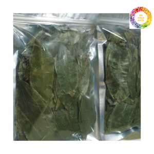 Feuilles de corossol cultivées et séchées au Vietnam-Graviola naturel sans additifs ni conservateurs - Product Image 2