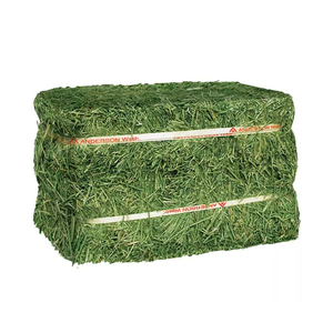 Heno de Alfalfa de Alta Calidad y Bajo Precio para Alimentación Animal, Hecho en Alemania, 2 Años de Vida Útil, Heno de Alfalfa y Timothy - Product Image 1