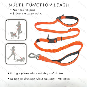Laisse de course multifonctionnelle 6 en 1 Anti-Pull Laisse pour grand chien Laisse pour chien Crossbody - Product Image 2
