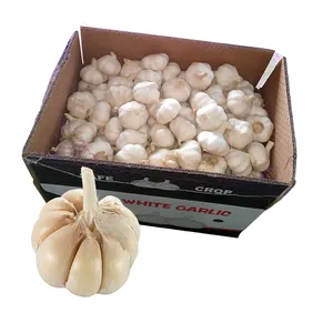 100 % natürliche Qualität frischer weißer Knoblauch frisches Gemüse Massenware Knoblauch zu verkaufen