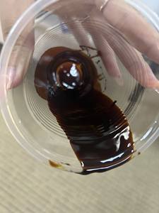 Mela de Caña de Azúcar Orgánica de Alta Calidad Brix TSAI para Alimentos, Piensos e Industria con Buen Precio de Vietnam 99 Gold Data Grado A - Product Image 3