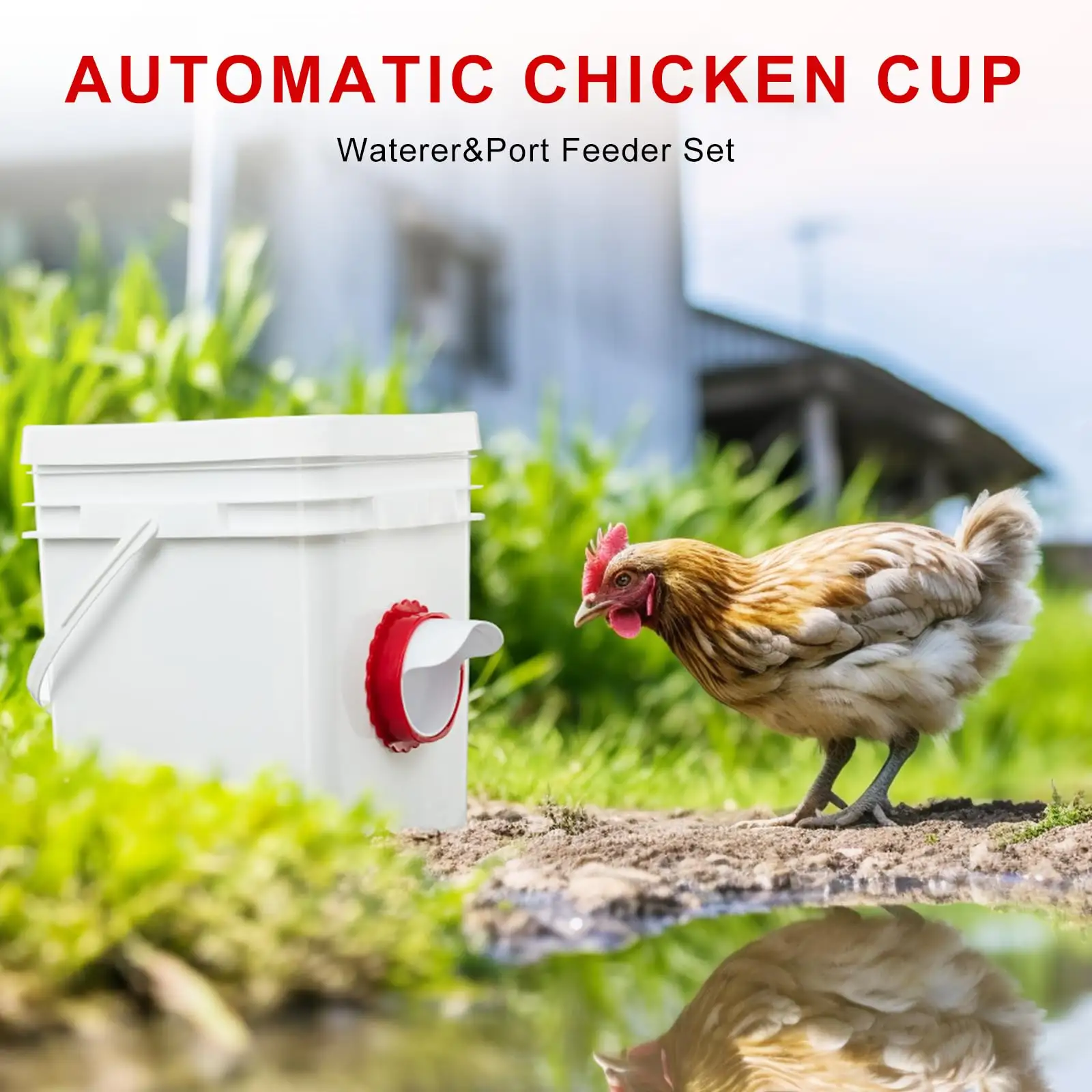 Conjunto de alimentador automático de frango 6 peças, alimentador automático à prova de chuva para criação de aves de fábrica por atacado