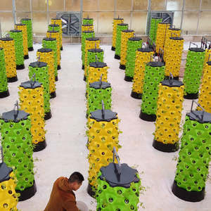 Sistemas Hidropónicos de Alta Capacidad y Torre Aeropónica para Instalaciones de Agricultura Vertical Comercial - Product Image 2