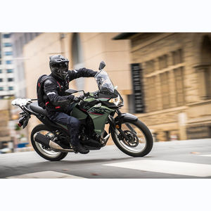 Kawasaki VERSYS-X 300 2024 - Product Image 6