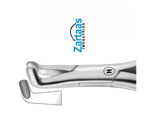 Fórceps de extracción de acero inoxidable de alta calidad terceros molares inferiores Fig 222 exportadores y fabricante - Product Image 4