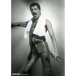 Affiche Freddie Mercury Queen, style de design moderne pour décoration murale - Product Image 1