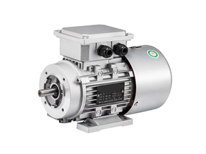 <span class=keywords><strong>Moteur</strong></span> JINGANG <span class=keywords><strong>Moteur</strong></span> électrique industriel triphasé à réluctance synchrone AC 1500 tr/min - Product Image 4