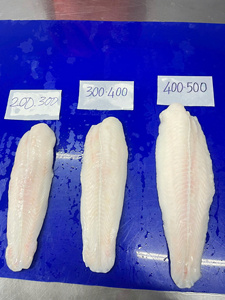 Pangasius เนื้อปลาบาซาแช่แข็งบรรจุในปริมาณมากที่เก็บเกลือแปรรูปจากเวียดนาม - Product Image 5