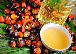 100% Pure and Natural Cosmetic Grade and Premium Grade Best Quality Palm Kernel <b>Carrier</b> <b>Oil</b> Available for Aromatherapy Use India - Product Image 5