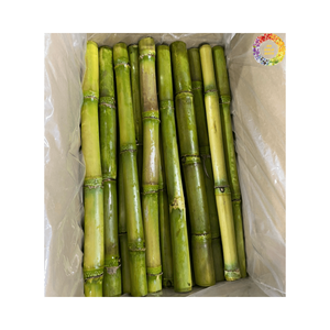 Palitos de caña de azúcar congelados pelados al por mayor, listos para usar para jugo/bebida, alta calidad, sin conservantes, origen de Vietnam - Product Image 2