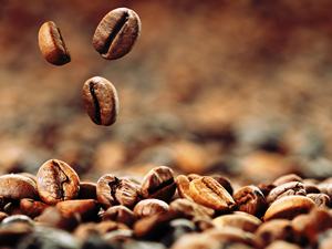 Café Espresso Tradicional Italiano Orgánico Justo, Bolsa de 1 kg, Selección de Alimentos Italianos GVERDI, Hecho en Italia - Product Image 4