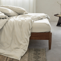 Housse de couette moderne jetable en bambou 300 TC, couleur personnalisée avec certificat OEKO, taille Queen, drap 100% fibre de bambou