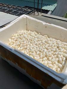 Capullos de Seda Natural de Alta Calidad de Vietnam, Grado para el Cuidado de la Piel, Compra al por Mayor - Product Image 6