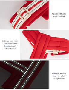 調節可能で快適な春夏用の胸と背中のハーネスで、ペットの犬を遊びに出すのに適しています。 - Product Image 4