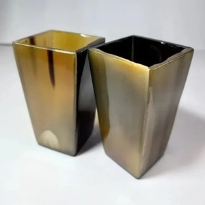 Cuerno para beber vikingo Natural 100%, vidrio de ágata resistente al agua, copa de chupito para whisky, recipiente seguro para comida, diseño Animal pulido para juego - Product Image 1