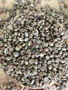 High Quality Vietnam Robusta <b>Green</b> Coffee <b>Beans</b> Size 16 A 95-99% Purity A Plus Bulk <b>Bags</b> 60kg Factory Supply for Roasters - Product Image 4
